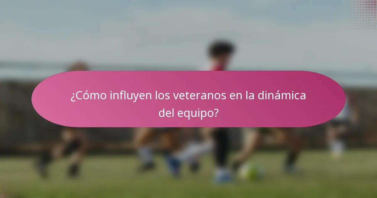¿Cómo influyen los veteranos en la dinámica del equipo?